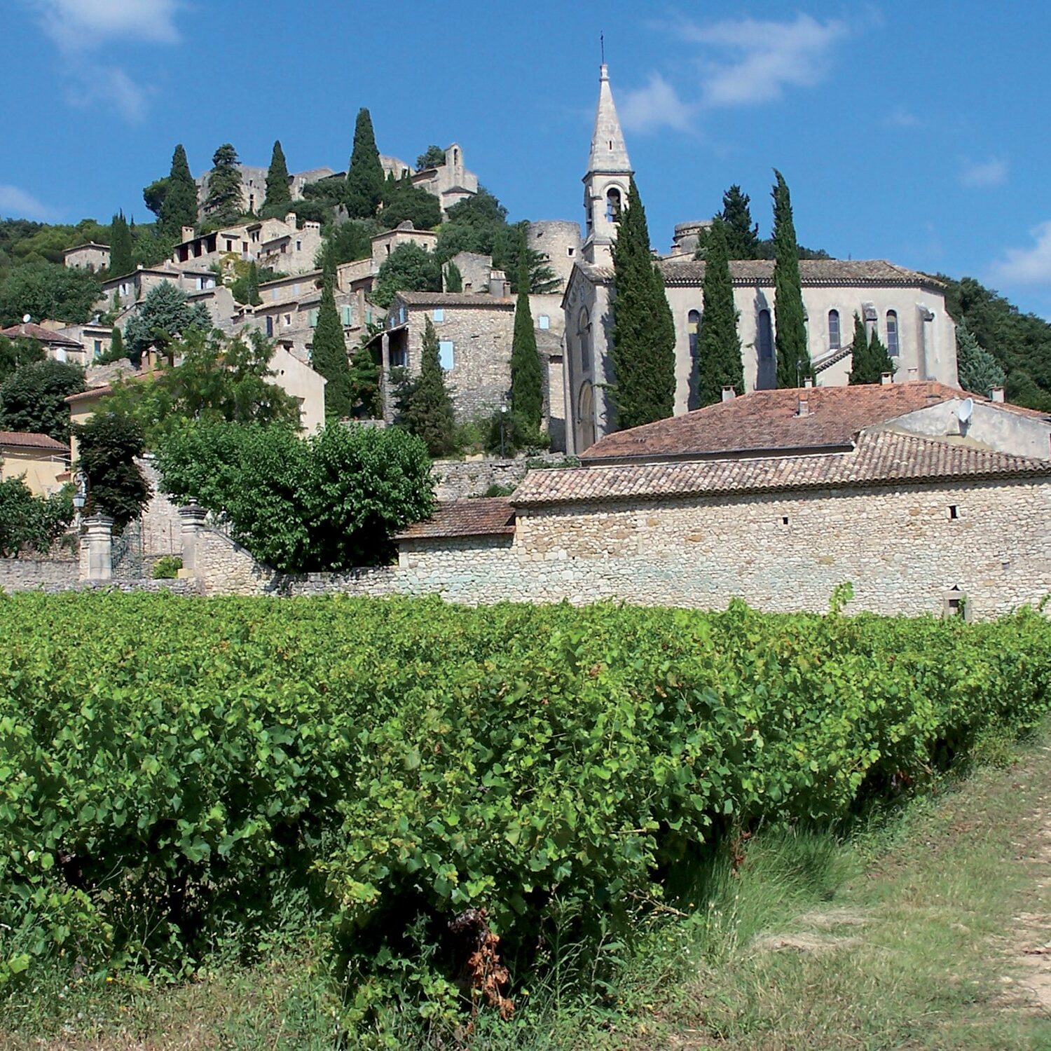 la-roque-sur-ceze-vue-densemble